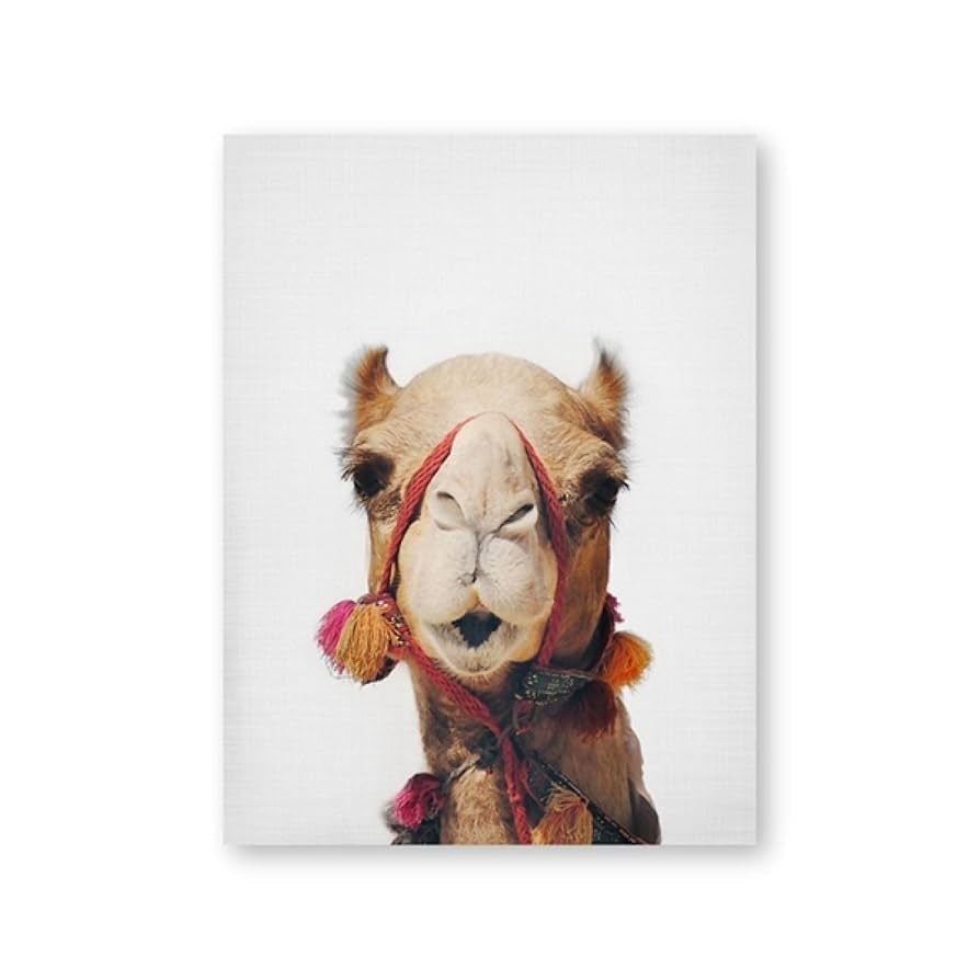 Amazon.co.jp: かわいいラクダモロッコ砂漠キャンバス絵画動物